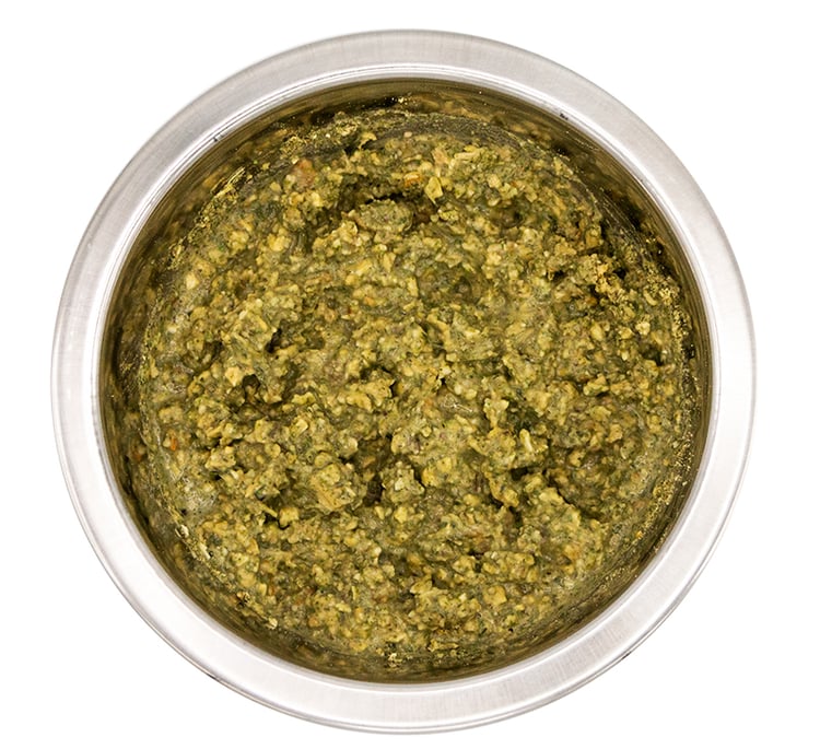 Is Your Dog Missing Teeth? How to Care for a Toothless Dog